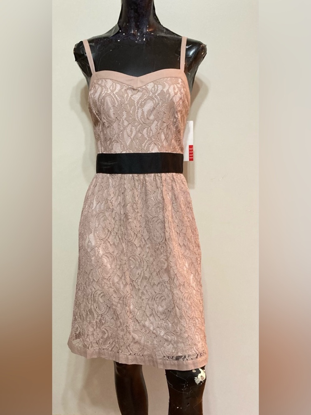 Sleeveless Lace Fit-and-Flare Dress in Blush with Black Waistband. Item# TSd30
